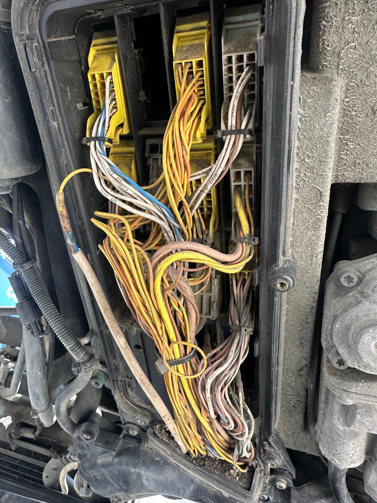 Service mobil Diagnoza auto
