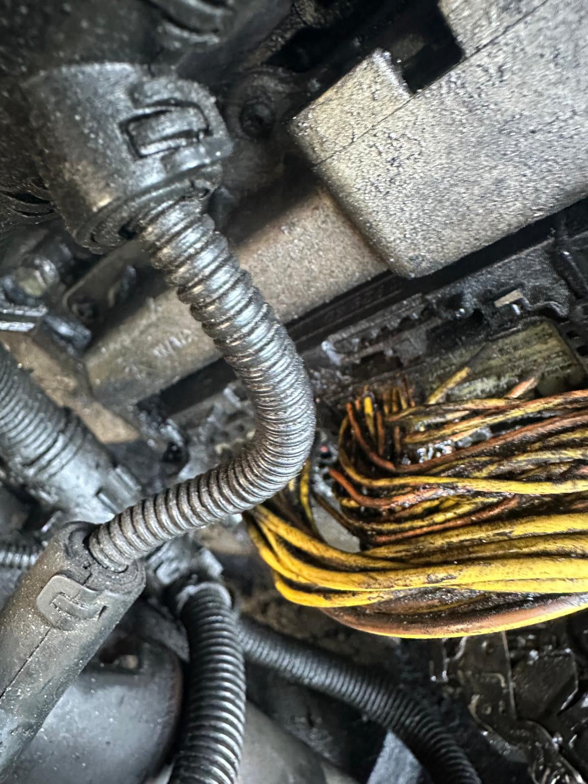 Service mobil Diagnoza auto